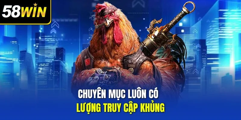 Chuyên mục luôn có lượng truy cập khủng