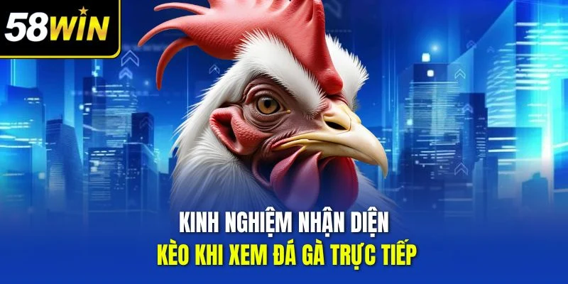 Kinh nghiệm nhận diện kèo khi xem đá gà trực tiếp